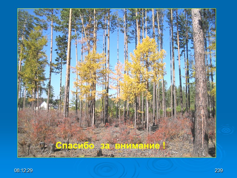 08:12:02 Спасибо  за  внимание ! 239